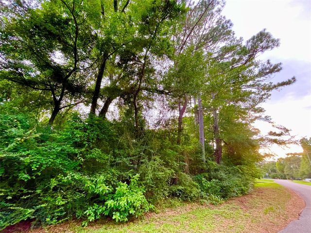 30803 Green Forest, Magnolia, TX 77354