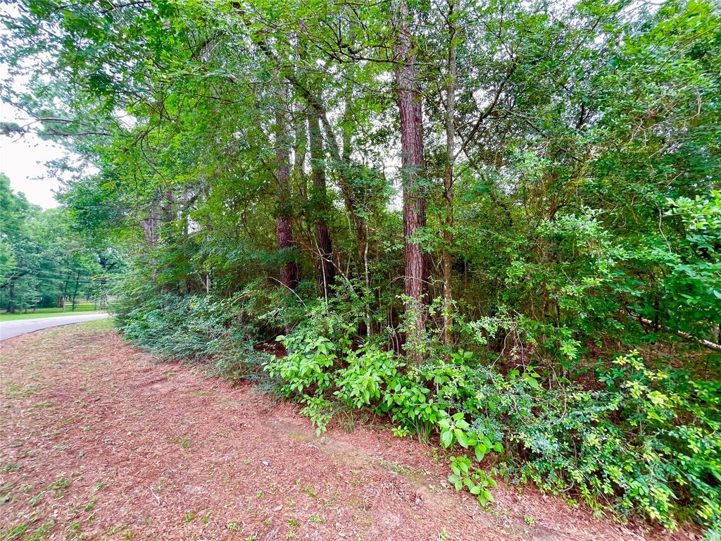 30803 Green Forest, Magnolia, TX 77354