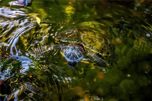 1629 Fremont Drive, Thousand Oaks, CA 91362