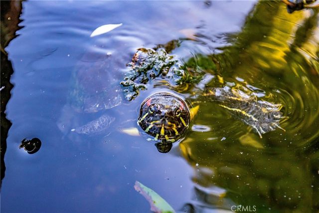 1629 Fremont Drive, Thousand Oaks, CA 91362