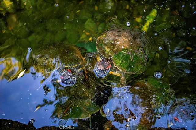 1629 Fremont Drive, Thousand Oaks, CA 91362