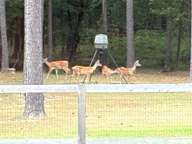 145 Crouch Road, Benton, LA 71006