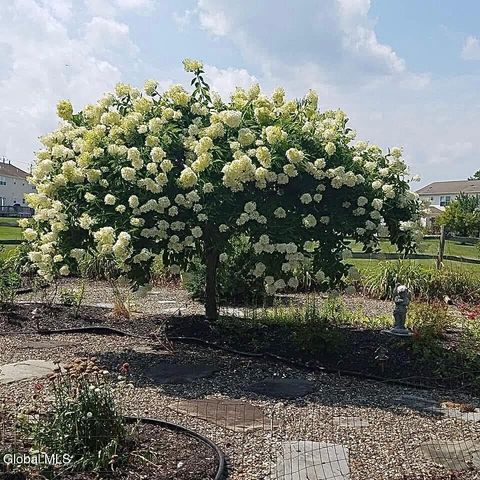 61 Johnson Road, Halfmoon, NY 12118