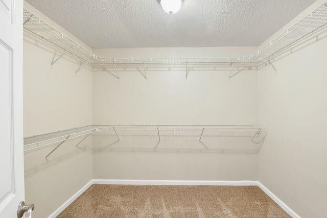 134 Dark Creek Lane, Brunswick, GA 31525