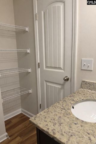 328 Jubilee Clock Drive, Columbia, SC 29223