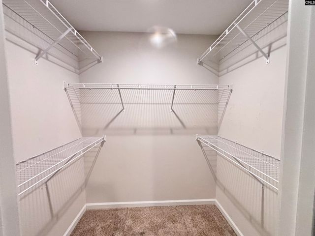 328 Jubilee Clock Drive, Columbia, SC 29223