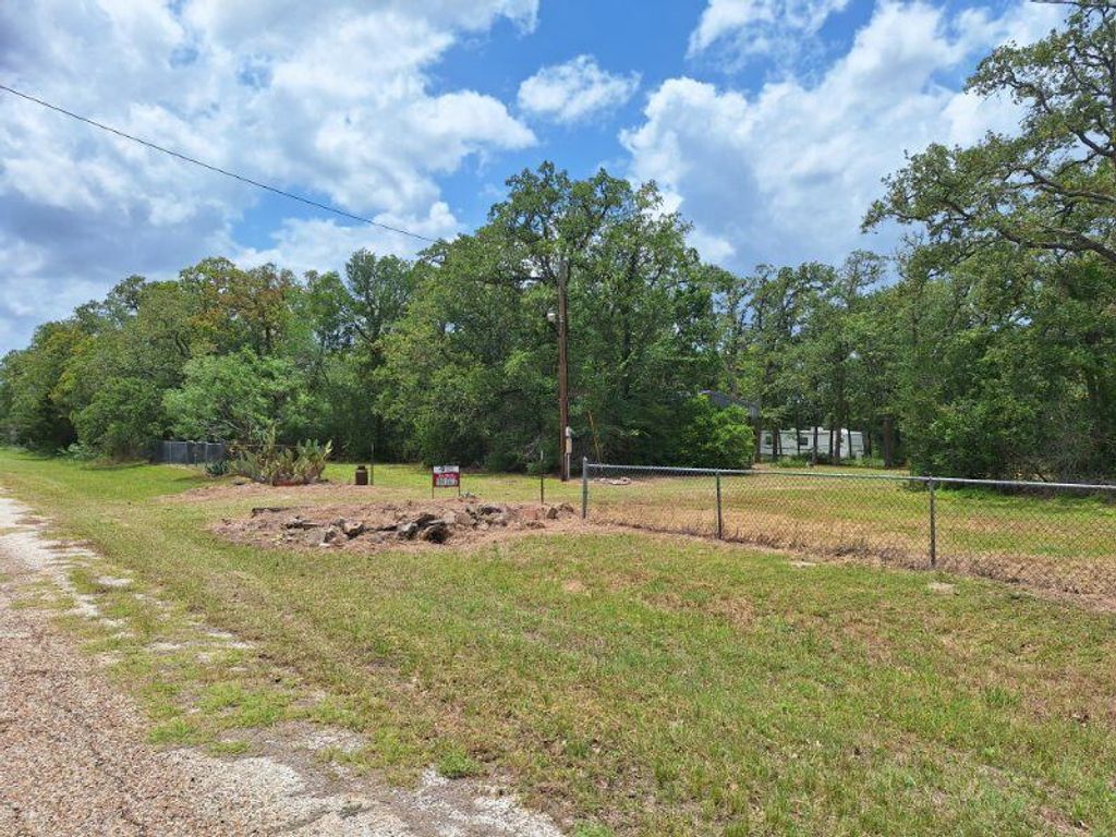 320 Alvina Ulich Street, Somerville, TX 77879 — exterior