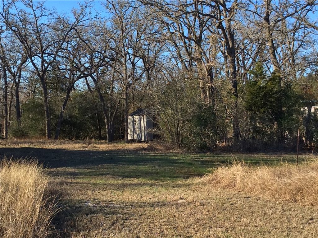 320 Alvina Ulich Street, Somerville, TX 77879 — photo 2