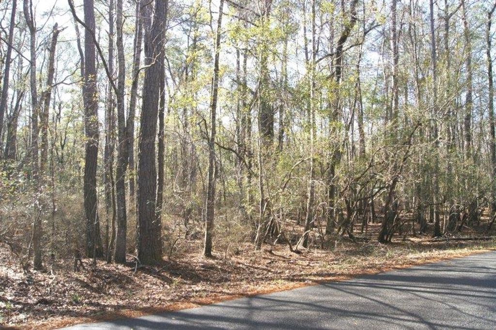 Lot 25 Crow Hill Dr., Georgetown, SC 29440 — exterior
