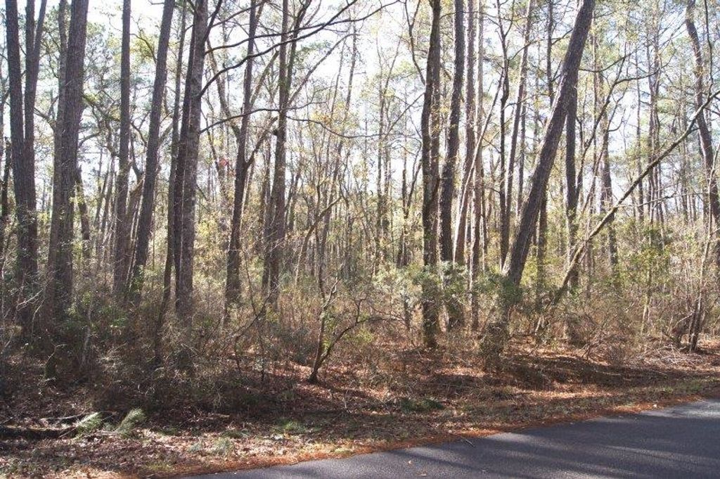 Lot 25 Crow Hill Dr., Georgetown, SC 29440 — photo 2