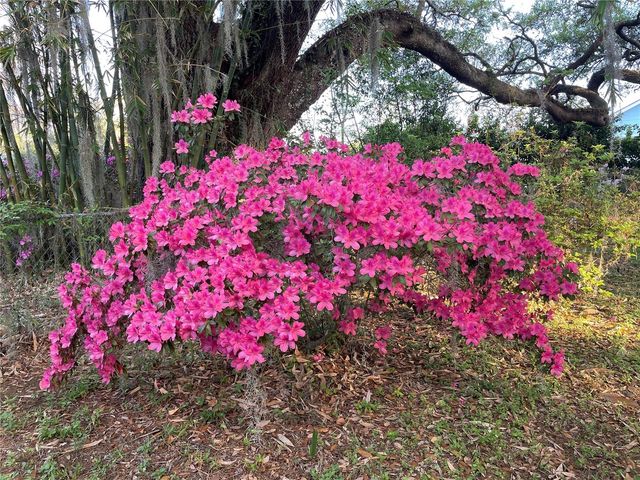 825 SE 13TH STREET, Ocala, FL 34471