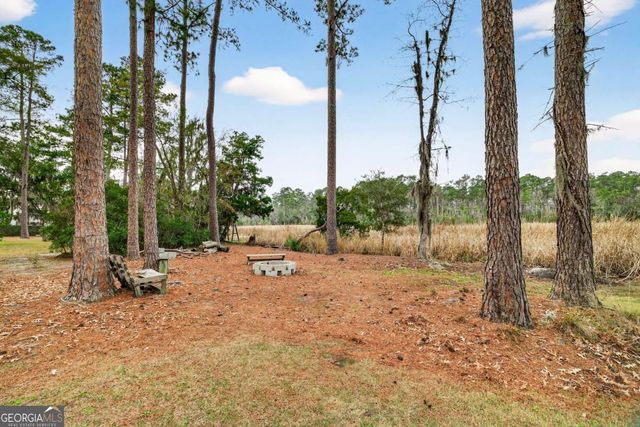 314 Mill Run Road, Richmond Hill, GA 31324