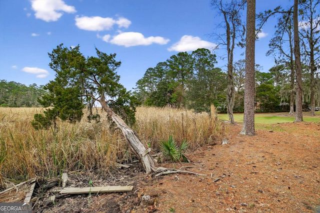 314 Mill Run Road, Richmond Hill, GA 31324