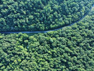 0 Baggett Hollow, Cunningham, TN 37052