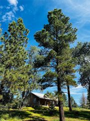 2755 South Hwy 84/64, Chama, NM 87520