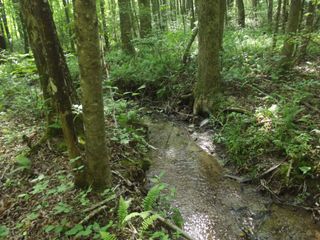0 Old Altamont Rd, Tracy City, TN 37387