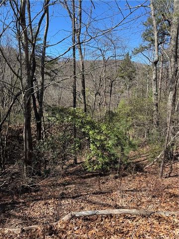 5504 Red Fox Drive, Big Canoe, GA 30143