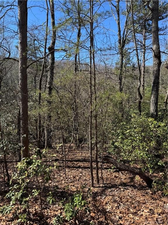 5504 Red Fox Drive, Big Canoe, GA 30143
