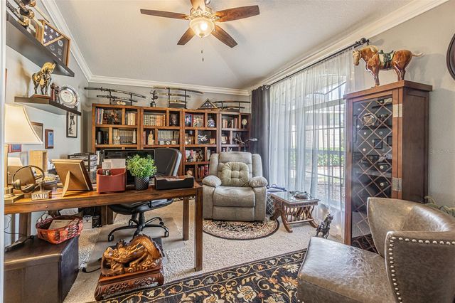 29324 COHARIE LOOP, San Antonio, FL 33576