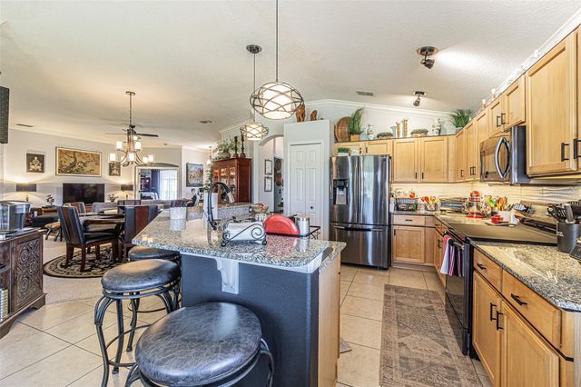 29324 COHARIE LOOP, San Antonio, FL 33576