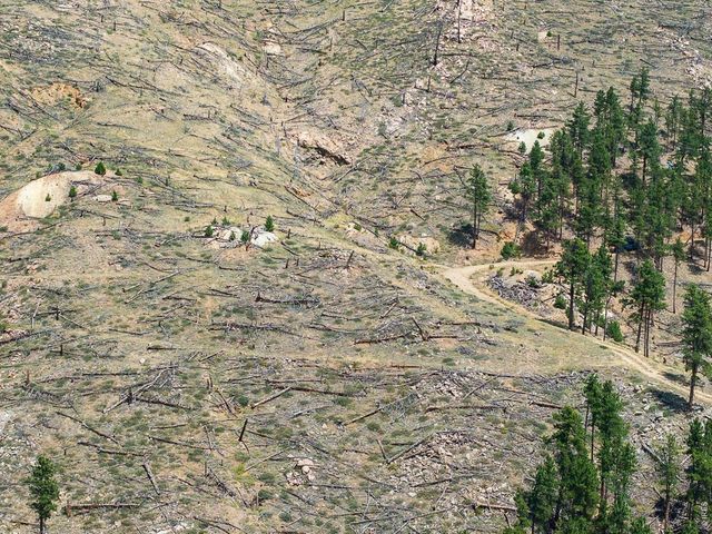 6319 Sunshine Canyon Dr, Boulder, CO 80302