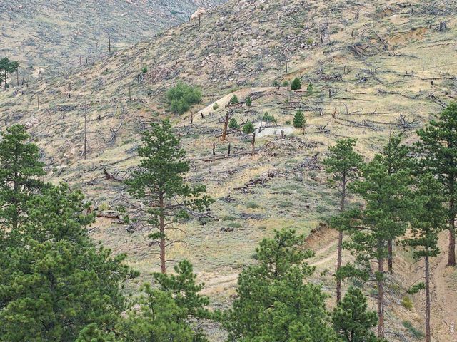 6319 Sunshine Canyon Dr, Boulder, CO 80302