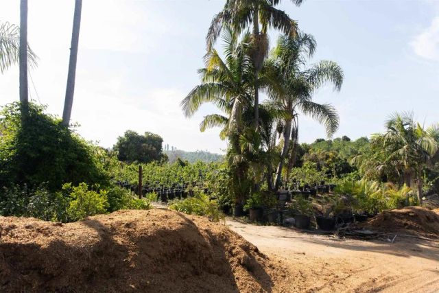 3129 Reche, Fallbrook, CA 92028