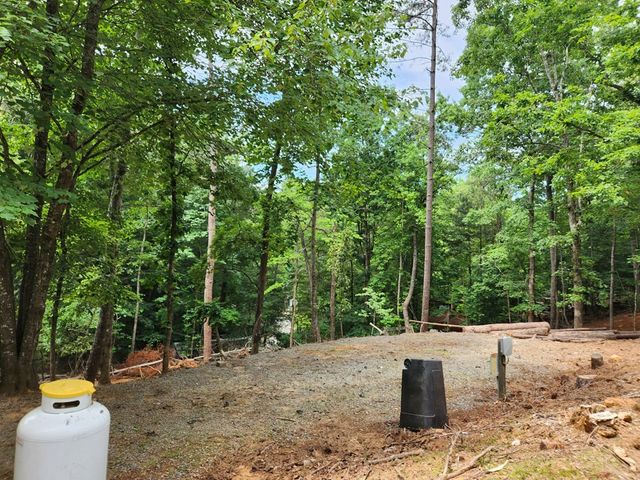 444 10th Street, Ellijay, GA 30540