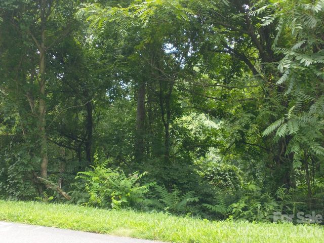 197 Starling Pass, Asheville, NC 28804