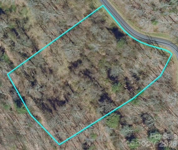 197 Starling Pass, Asheville, NC 28804