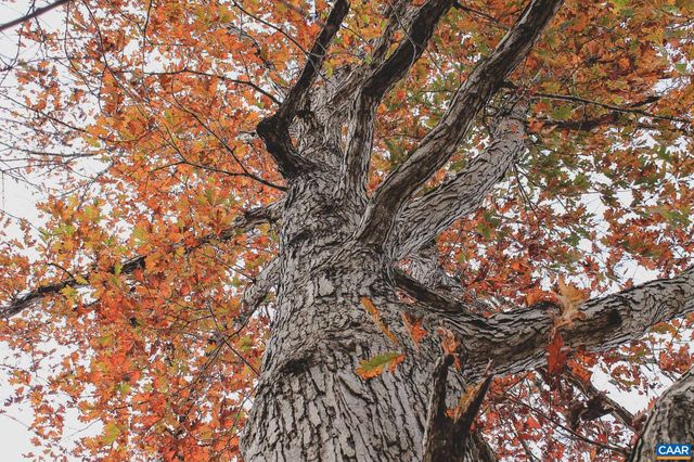 3785 ROLLING RD S, Scottsville, VA 24590