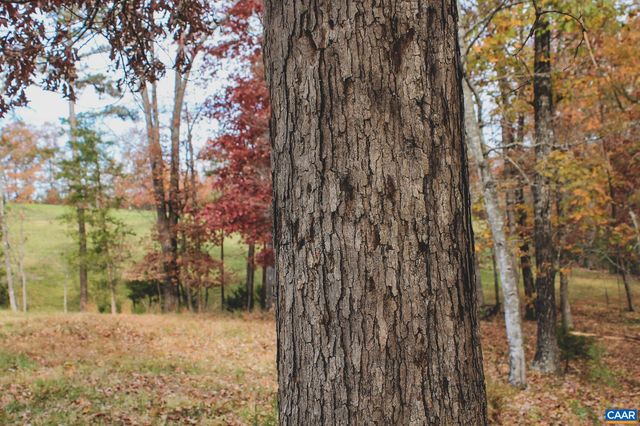 3785 ROLLING RD S, Scottsville, VA 24590