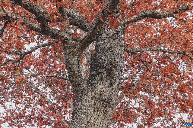 3785 ROLLING RD S, Scottsville, VA 24590