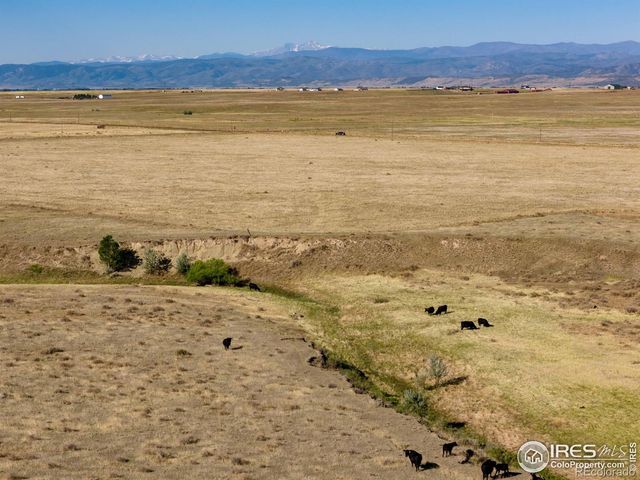 CR 82, Wellington, CO 80549