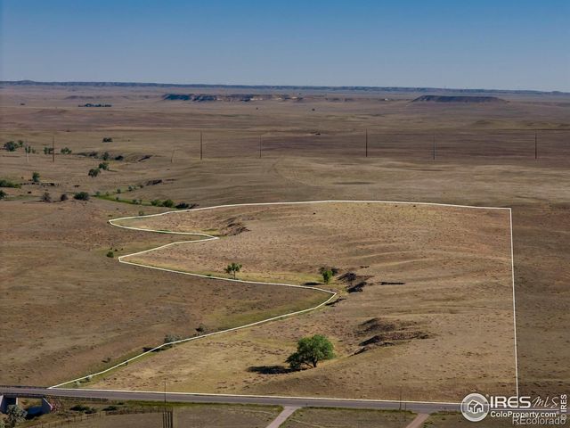 CR 82, Wellington, CO 80549