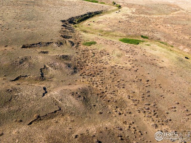 CR 82, Wellington, CO 80549