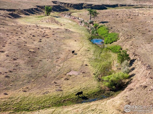 CR 82, Wellington, CO 80549