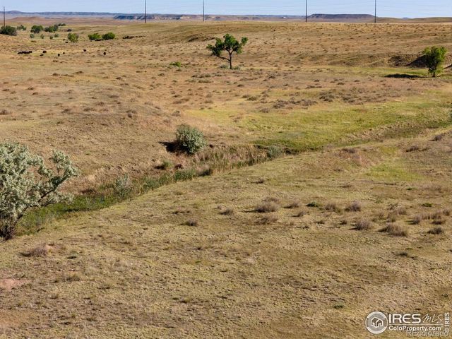 CR 82, Wellington, CO 80549