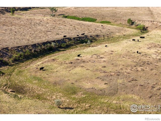 CR 82, Wellington, CO 80549