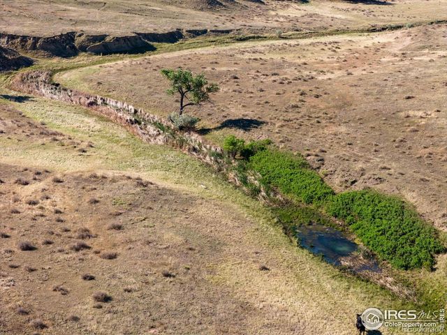 CR 82, Wellington, CO 80549