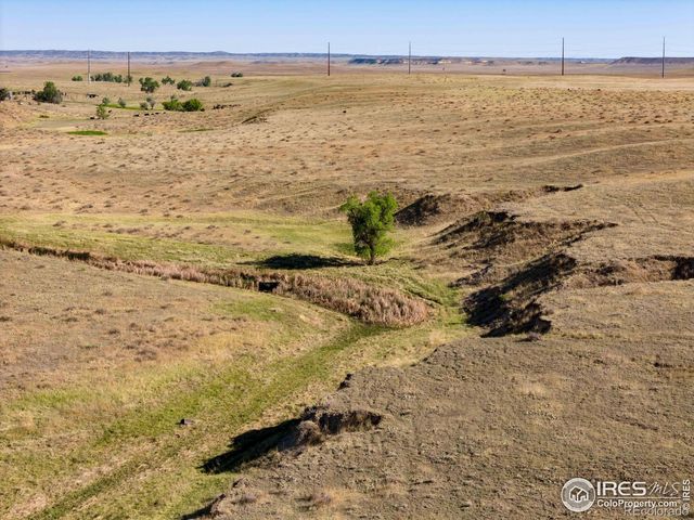CR 82, Wellington, CO 80549