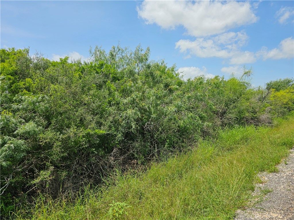 1110 Second St, Bayside, TX 78340 — photo 2