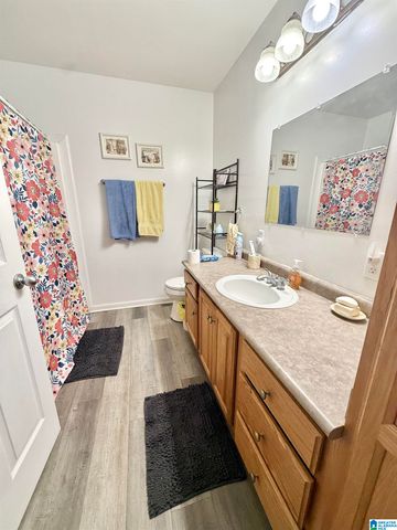 161 MITCHELL LANE, Ashland, AL 36251