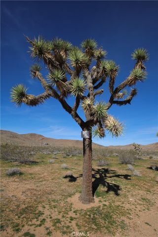 34 La Brisa Drive, Joshua Tree, CA 92252