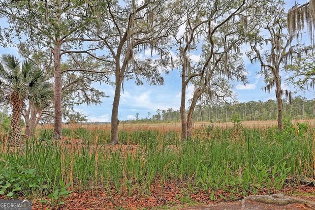 11 Mill Run Lane, Richmond Hill, GA 31324