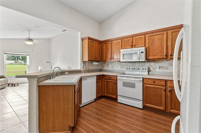 25093 RIVERWALK DRIVE, Leesburg, FL 34748
