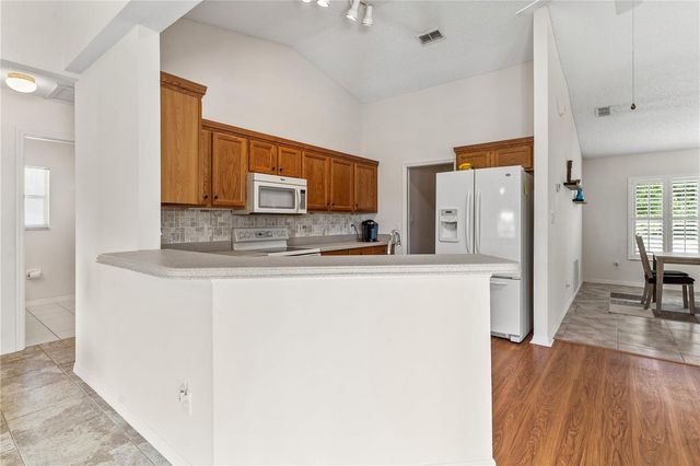25093 RIVERWALK DRIVE, Leesburg, FL 34748