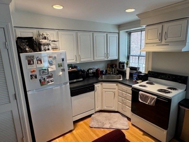 575 Tremont Street 303, Boston, MA 02118