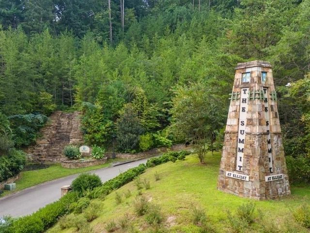 145 Pinnacle Way, Ellijay, GA 30540