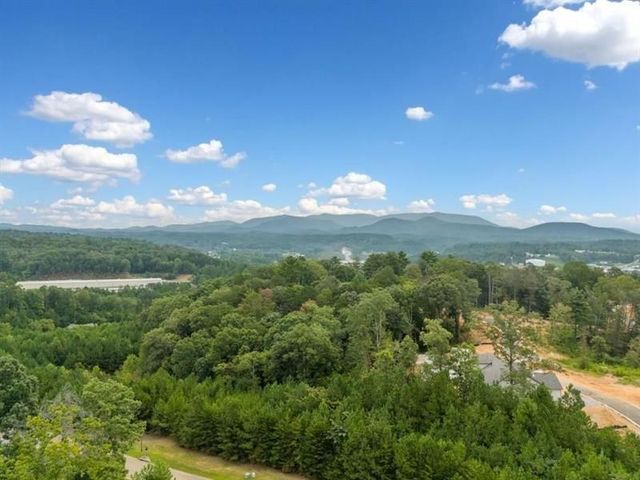 145 Pinnacle Way, Ellijay, GA 30540